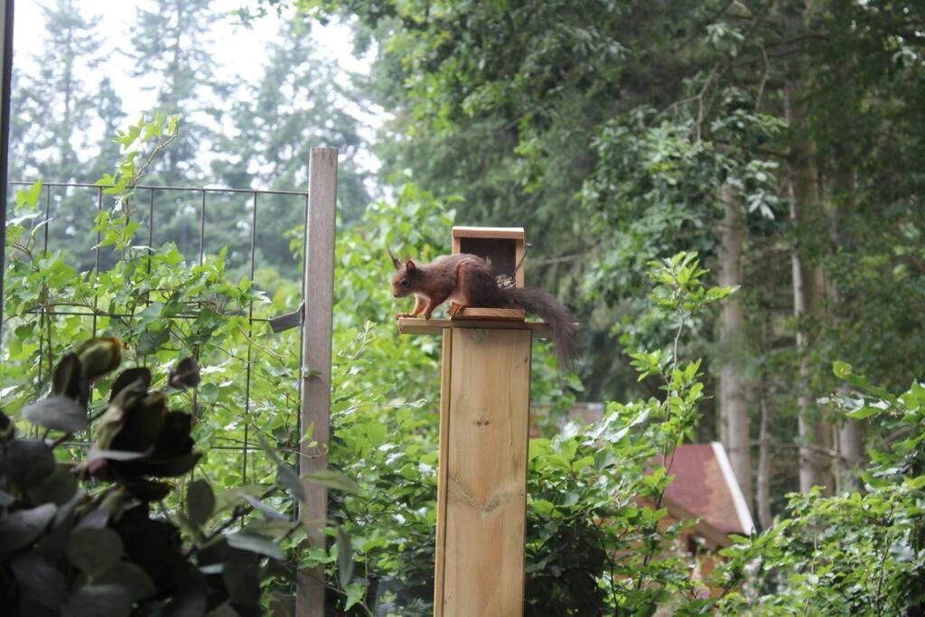 Op Boszicht Genieten Van De Rust & Natuur Putten Exterior foto