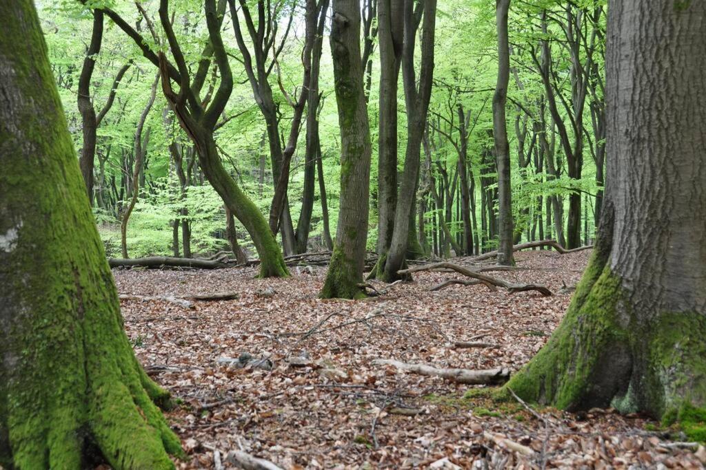 Op Boszicht Genieten Van De Rust & Natuur Putten Exterior foto